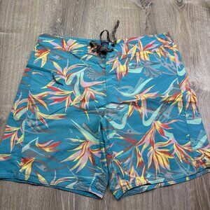 Patagonis Mens Teal Blue Worn Wear-M's Printed Wavefarer Board Shorts Size 32